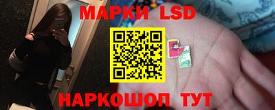 spice Коммунар
