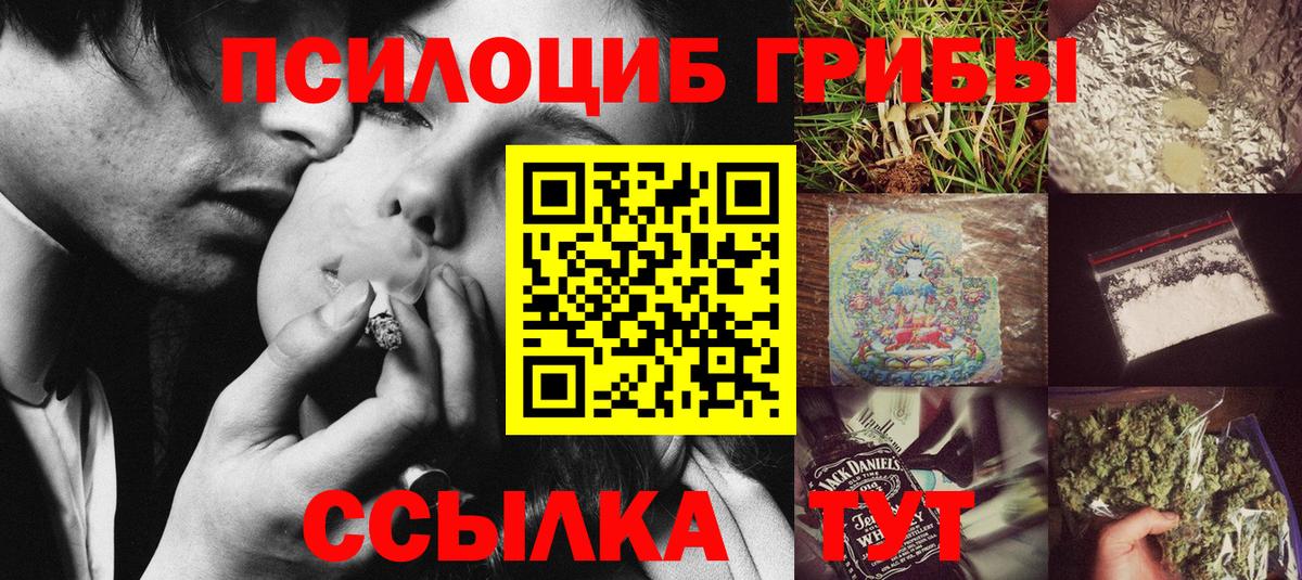 Псилоцибиновые грибы MAGIC MUSHROOMS  хочу наркоту  Ипатово  Вход с VPN 